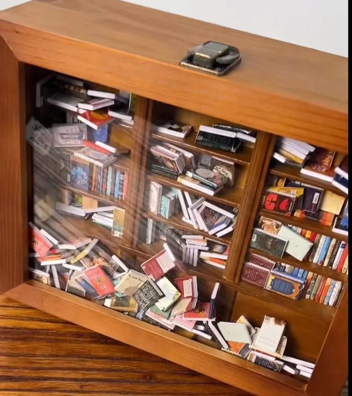 Anxiety Bookshelf — Mini Shakeable Library