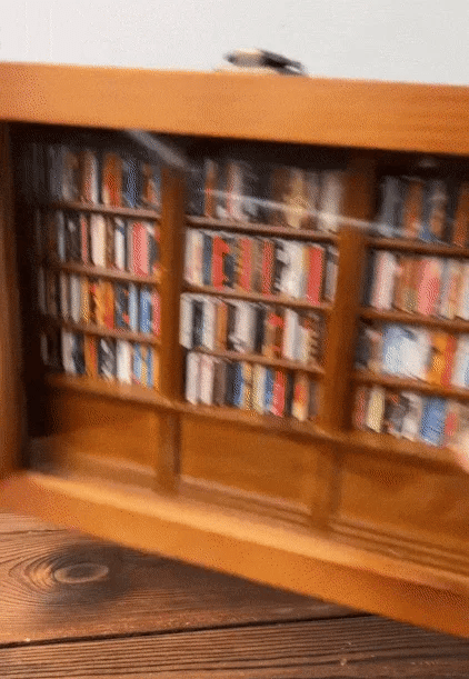 Anxiety Bookshelf — Mini Shakeable Library